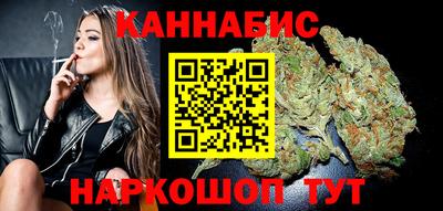 индика Гусев