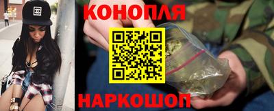 индика Гусев