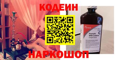 индика Гусев