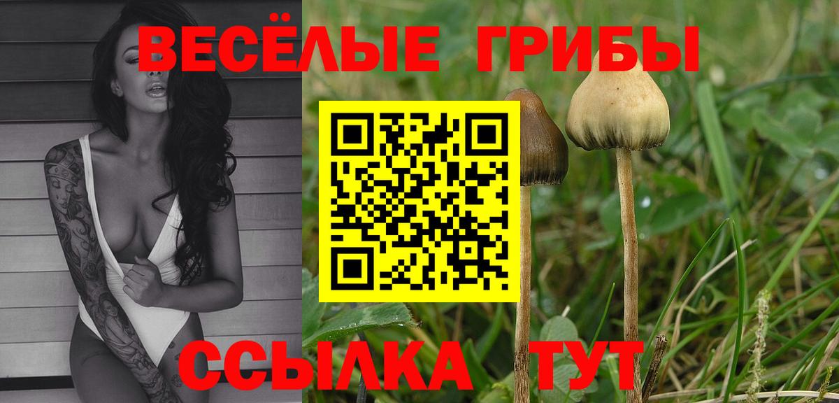 Галлюциногенные грибы Magic Shrooms  Псилоцибиновые грибы мицелий  Вход с VPN  Новоуральск 